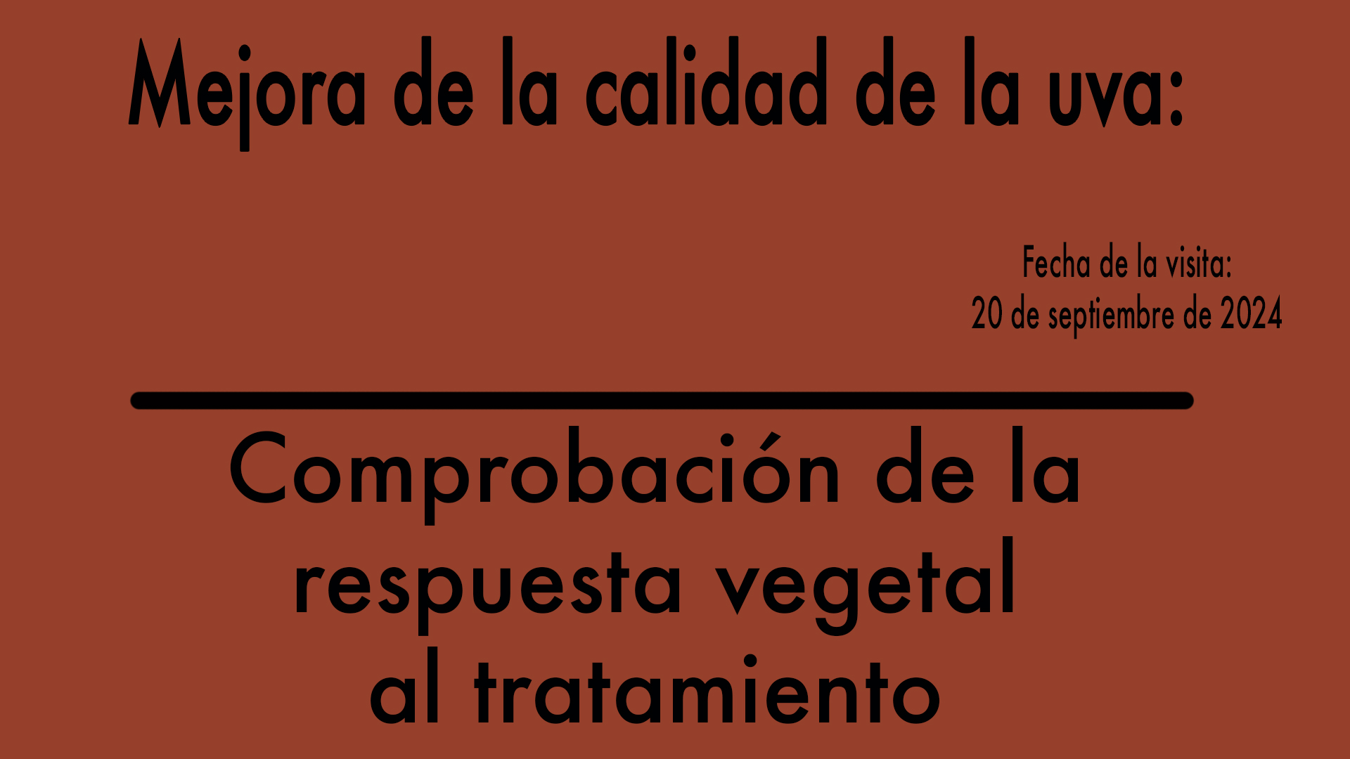 ¿Qué respuesta ha tenido la viña tras potenciar la inducción de la maduración?
