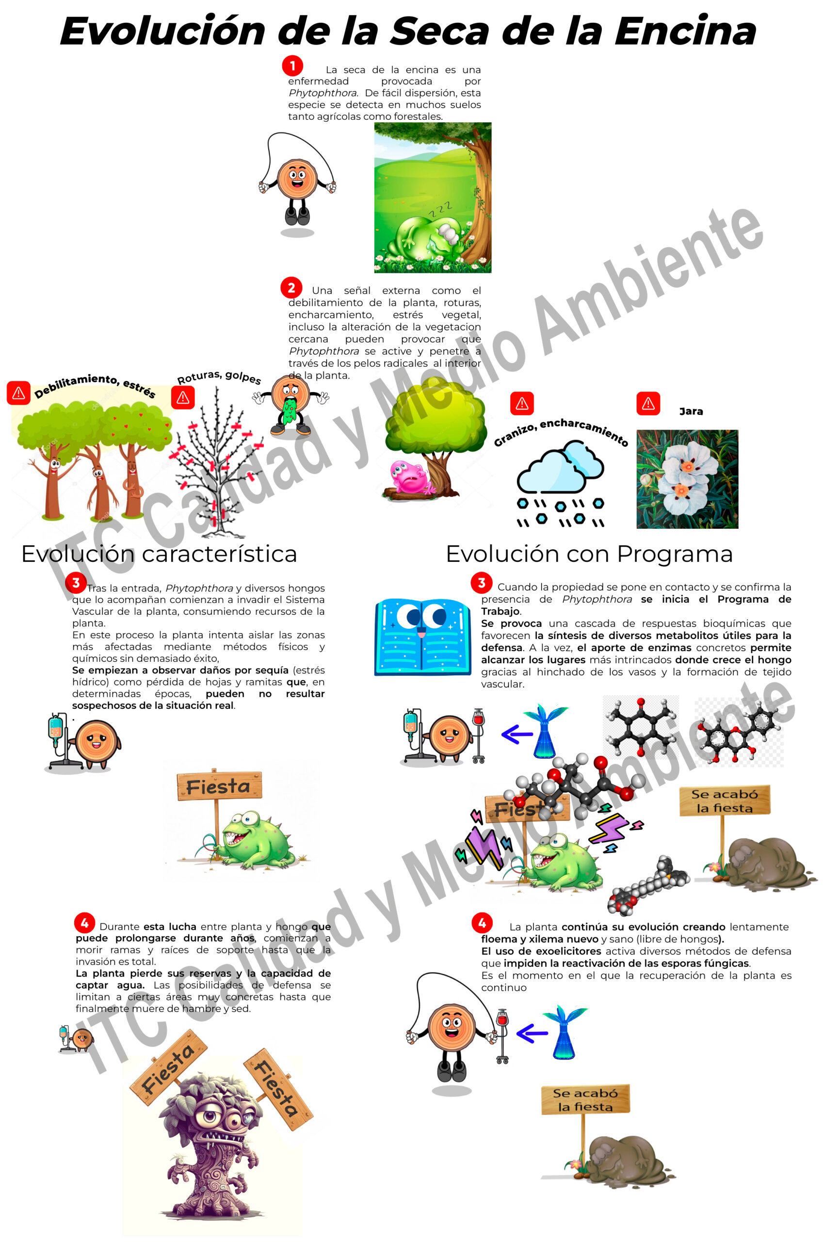 Comparativa de Evolución Característica de la Seca de la Encina frente a la Evolución de la Seca de la Encina cuando se ejecuta el Programa de Trabajo.